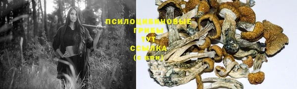 амф Волоколамск