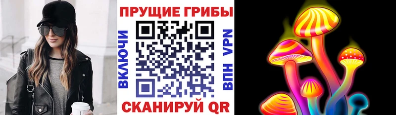 купить закладку  Жиздра  Псилоцибиновые грибы прущие грибы 